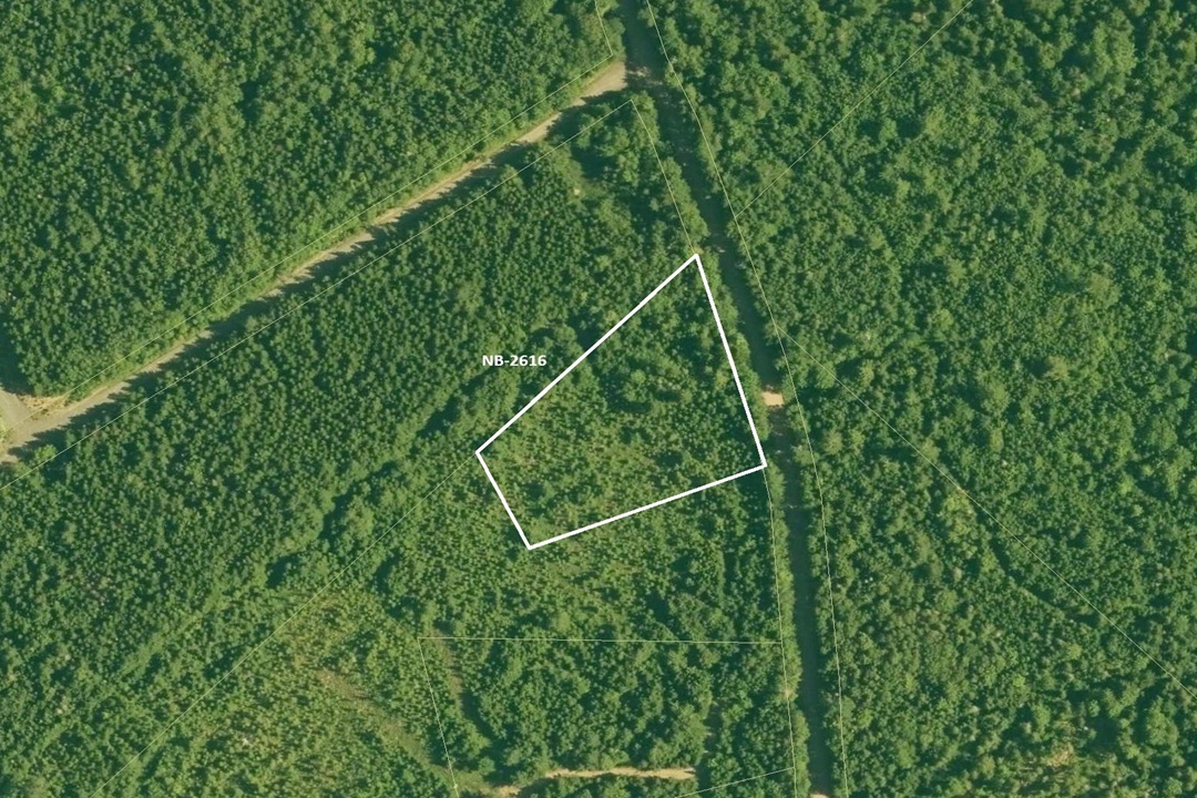 Aerial view of land area captured by satellite, displaying terrain and surroundings.