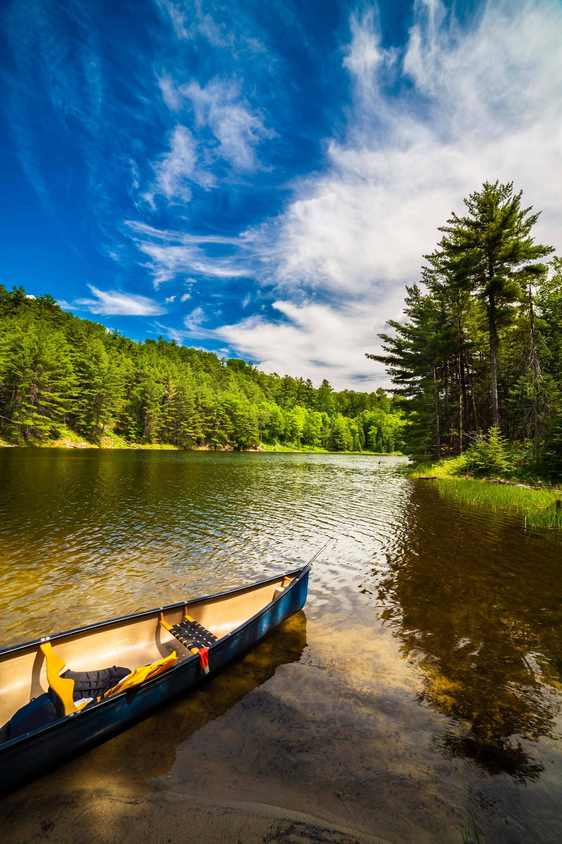 Pair of individuals in yellow and black kayaks enjoying a day on the water.